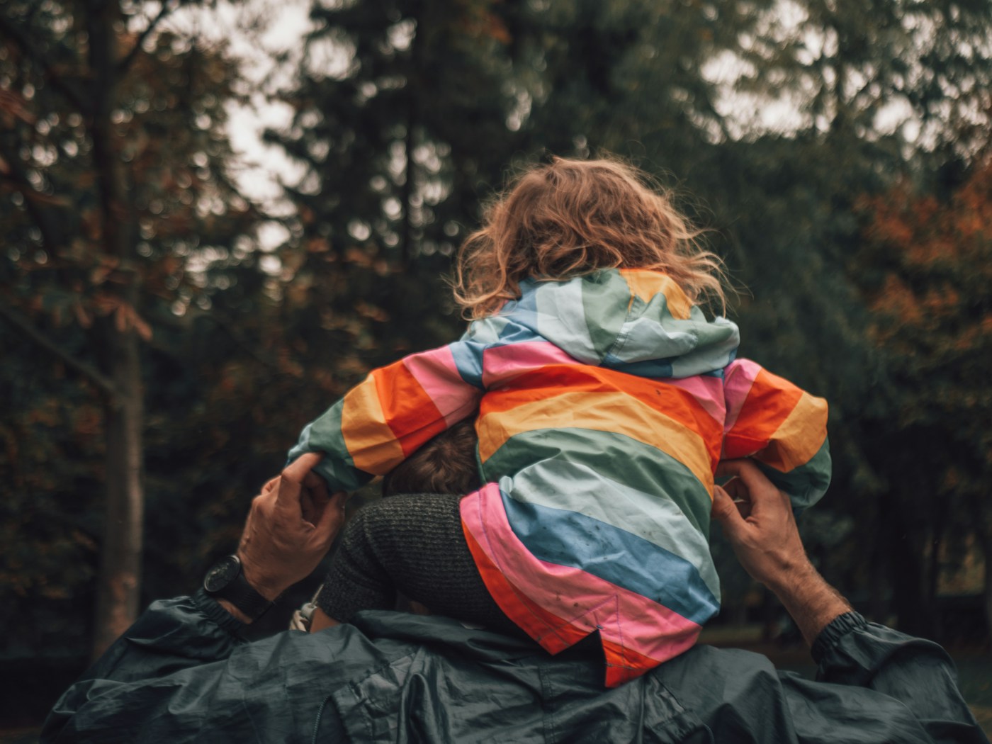 A dad carries a small child in a rainbow jacket on his shoulders through the pines